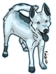 dog41377498890-iaza.png