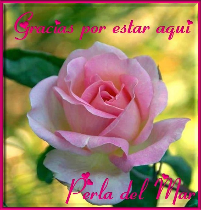  photo Imagen6gra_zpsf5f03c0c.jpg