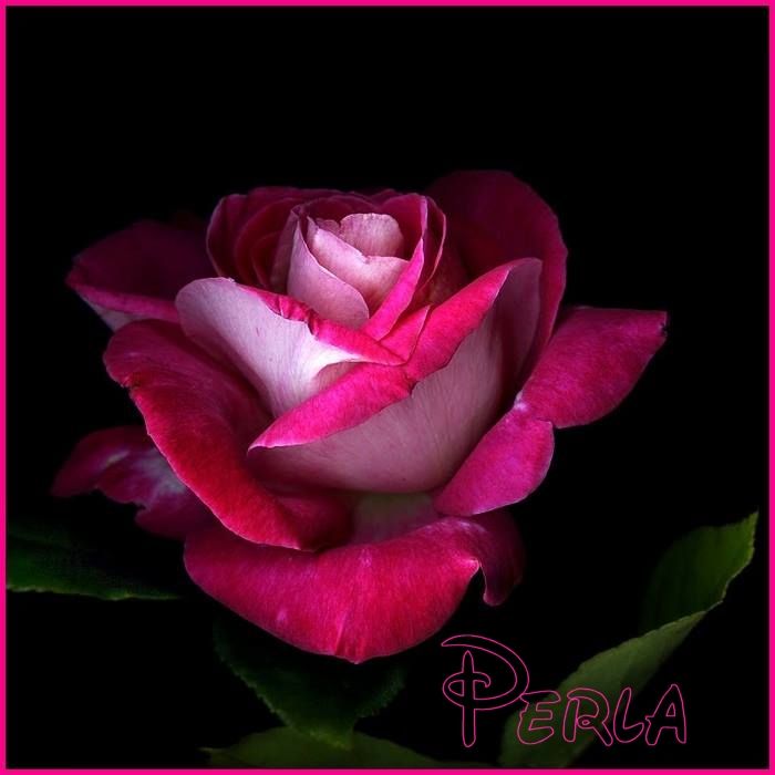  photo Imagen7perlas_zpsc893c04d.jpg