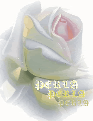 ROSAMIASUPERRRRRRRRRR.gif rosas picture by GEMA-DEL-MAR