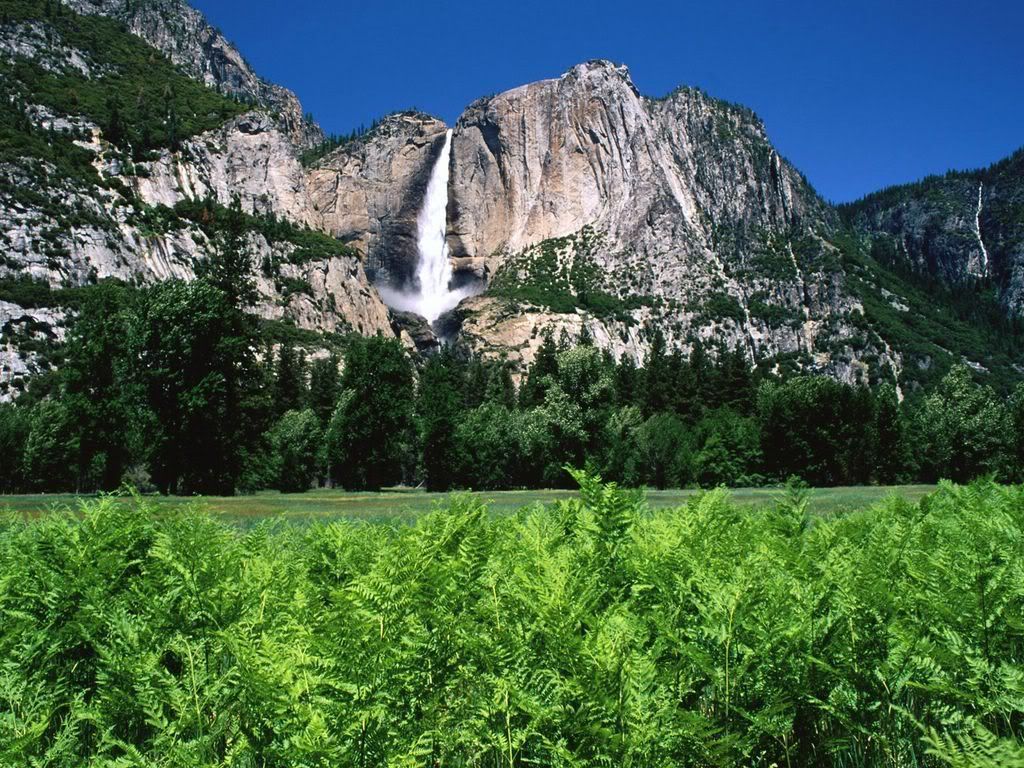 2007022714560414_Yosemite20Falls20C.jpg
