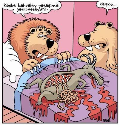 5565912_komikazem26005.jpg