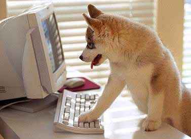 check_email.jpg