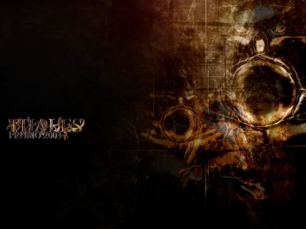 wallpaper2.jpg
