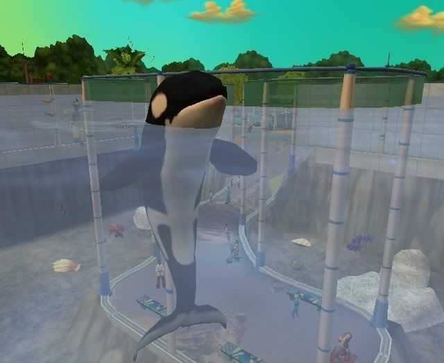 Orca.jpg