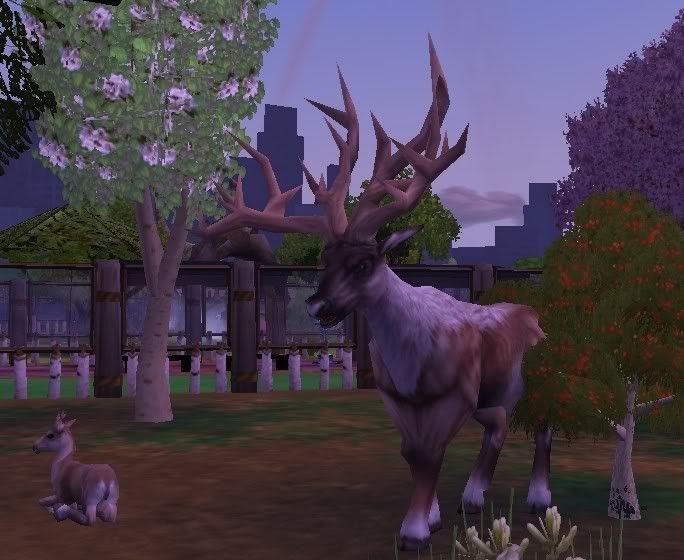 bushantlereddeer.jpg