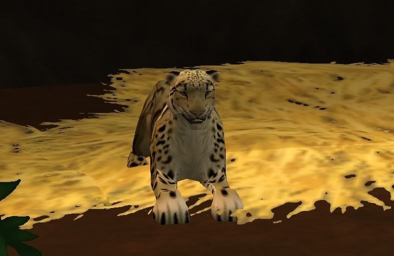 cluodedleopard.jpg