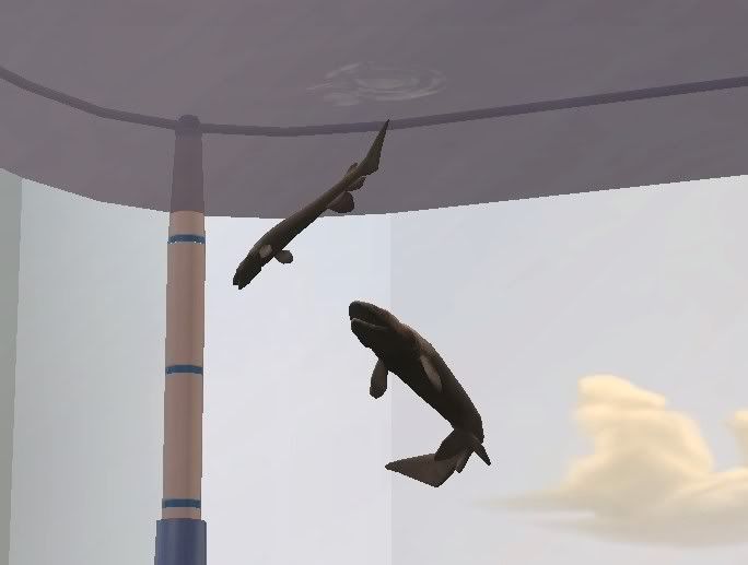 frilledshark2.jpg