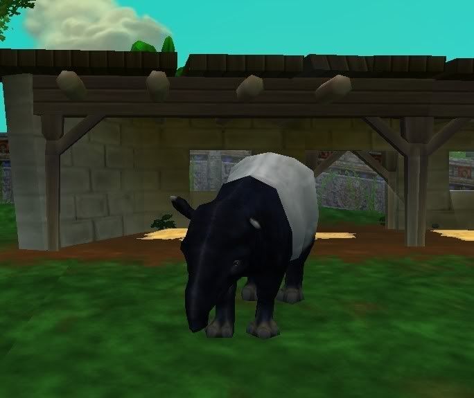 malayantapir.jpg