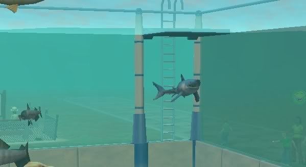 porbeagle.jpg