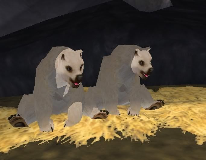 spirtbears2.jpg