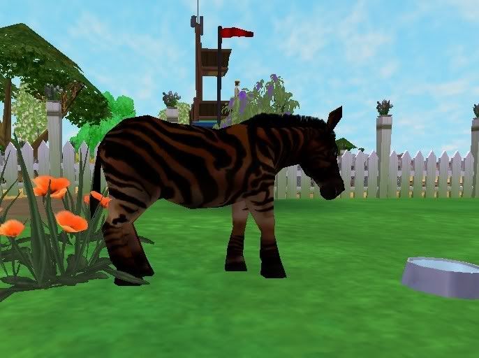 zebroid.jpg