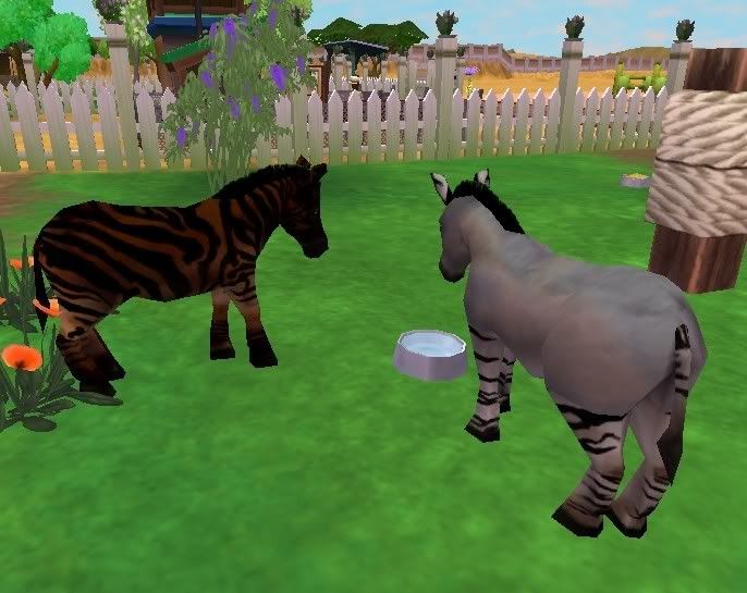 zebroid2.jpg