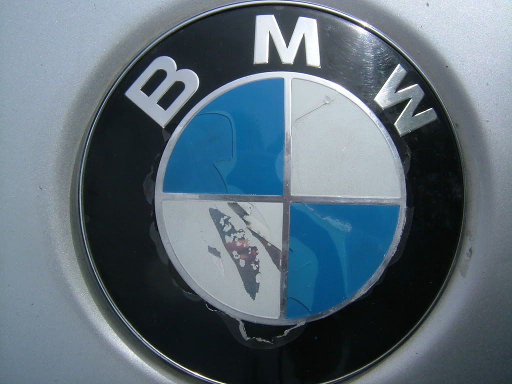 bmw bonnet badge