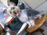 Photo Sharing and Video Hosting at Photobucket