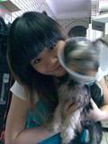 Photo Sharing and Video Hosting at Photobucket