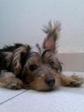 Photo Sharing and Video Hosting at Photobucket