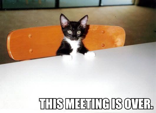 http://i195.photobucket.com/albums/z13/triplike_i_do/cats/this-meeting-is-over.jpg