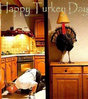 http://i195.photobucket.com/albums/z13/triplike_i_do/holidays/ThanksGiving/happyturkeyday2.jpg