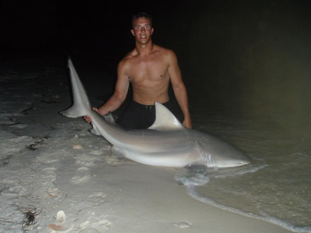 Biggest Bull Shark