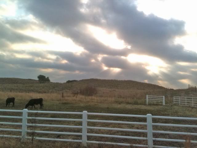 IMAGE: http://i195.photobucket.com/albums/z142/Lone-eagle/Landscape/photo-1.jpg