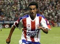 Flores.jpg