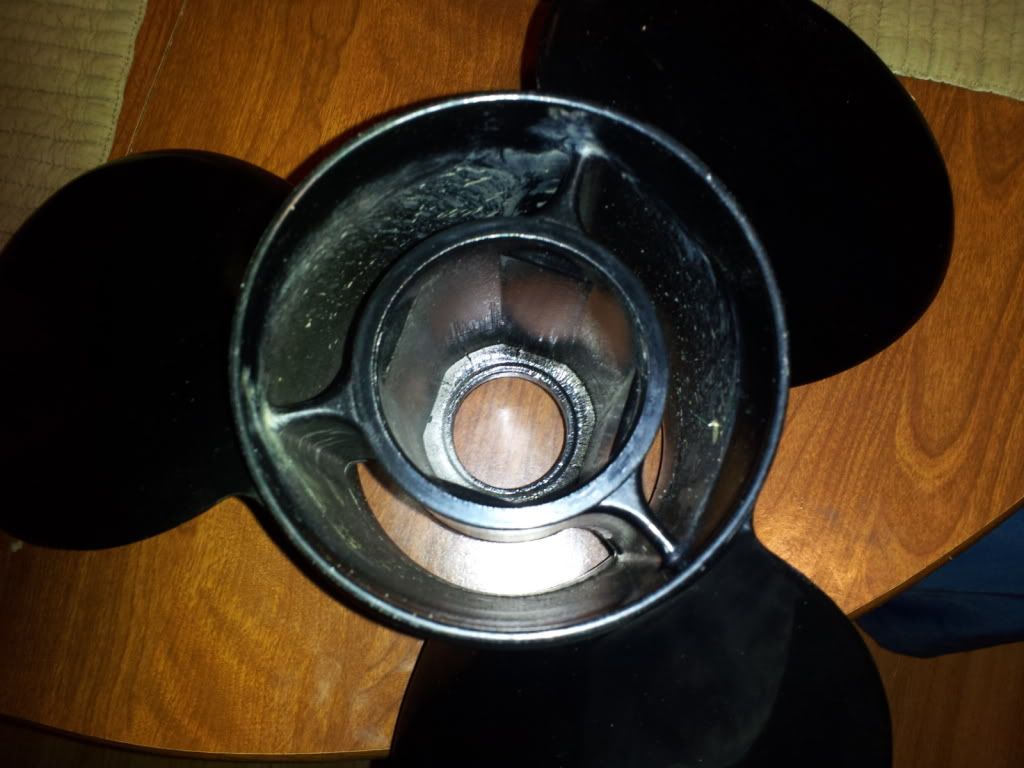 2011-12-06192401.jpg