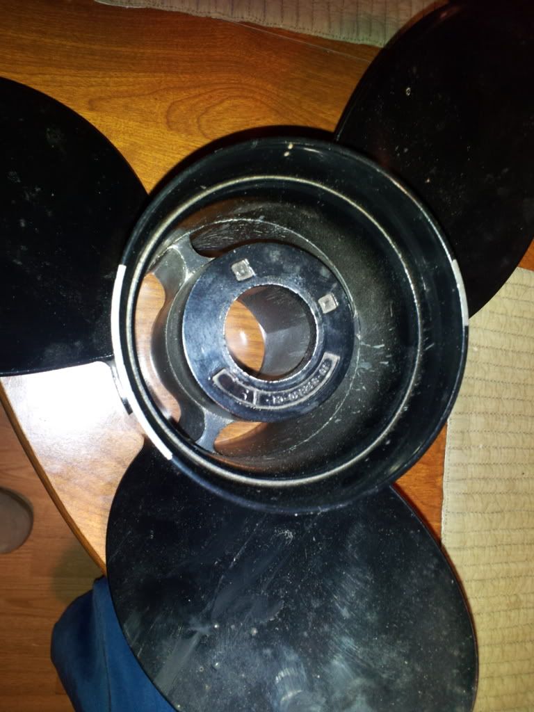 2011-12-06192423.jpg