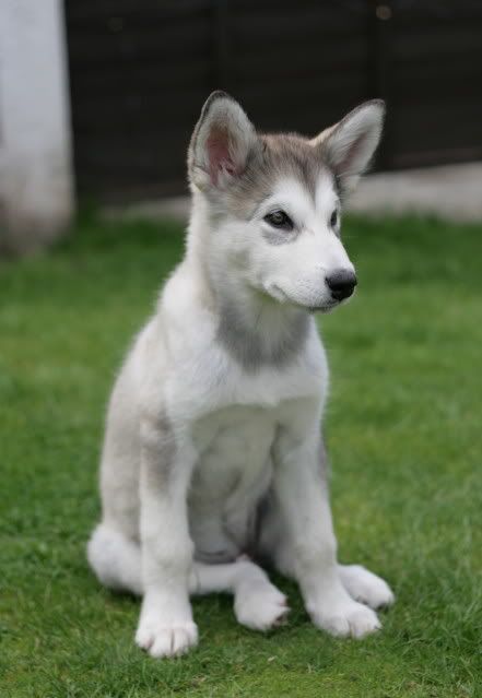 IMAGE: http://i195.photobucket.com/albums/z175/Luke6N/Maya2.jpg