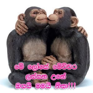 Sinhala Comments - Suduputha.Com