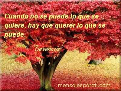 cuando.jpg LO QUE SE PUEDE image by espiritual-02