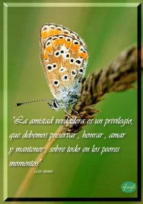 mariposa_ami.jpg amistad verdadera image by espiritual-02