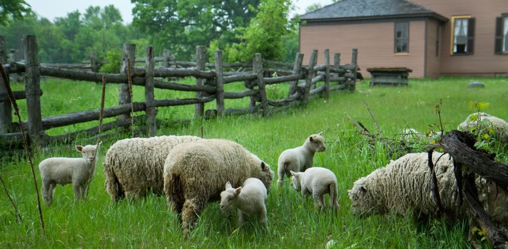 IMAGE: http://i195.photobucket.com/albums/z19/karenbaby12/20100522-IMG_3401-3.jpg