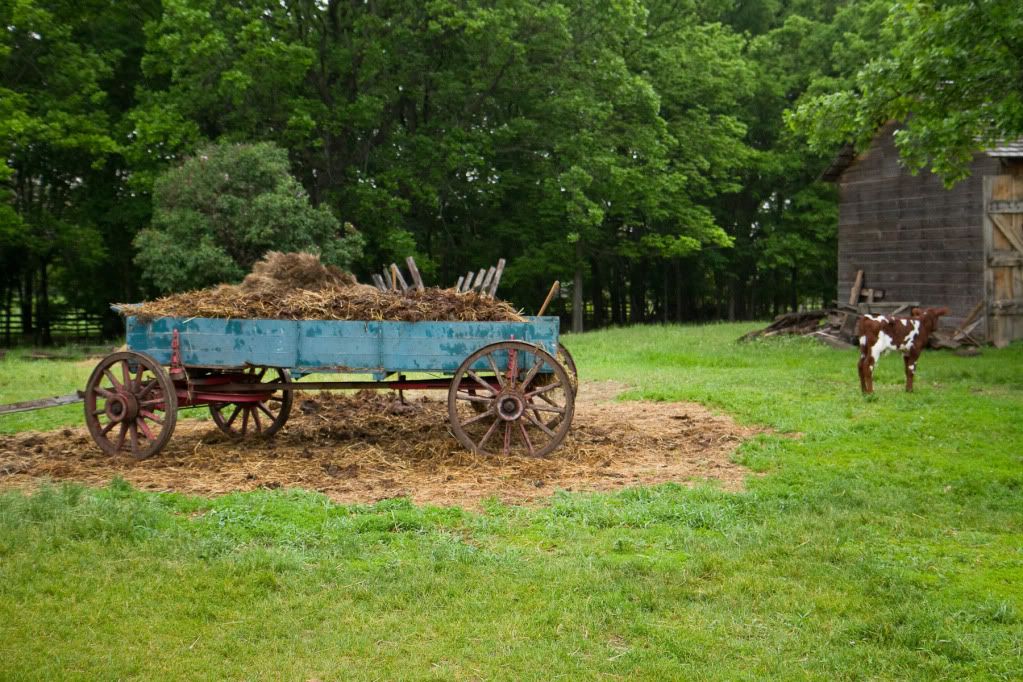 IMAGE: http://i195.photobucket.com/albums/z19/karenbaby12/20100522-IMG_3404-3.jpg