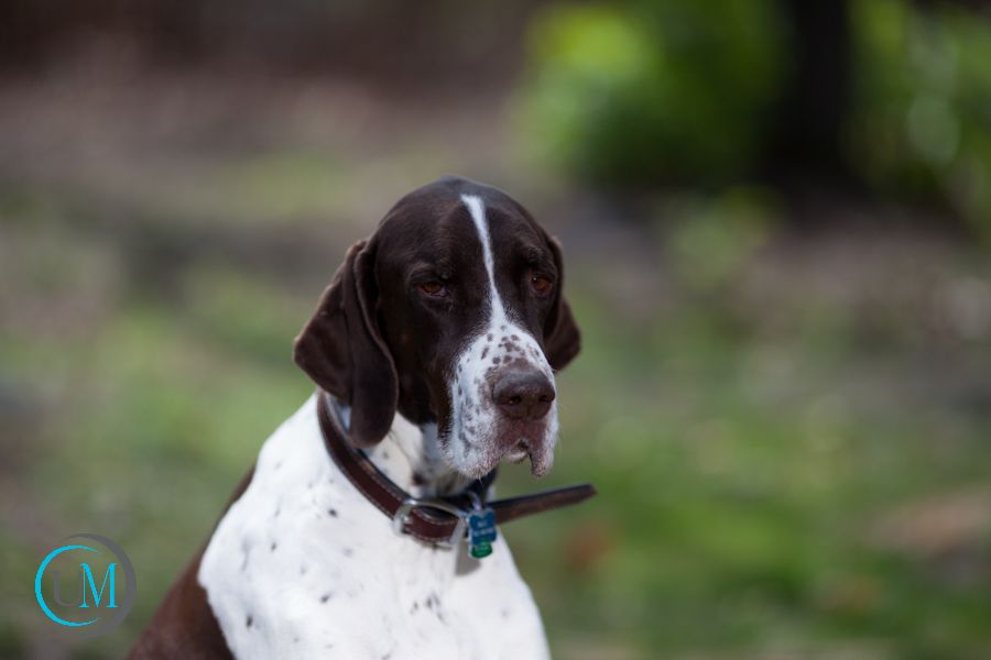 IMAGE: http://i195.photobucket.com/albums/z19/karenbaby12/IMG_4187.jpg