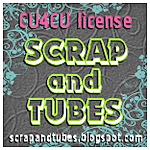 scrap and tube photo 2-ScrapandTubes_CU4CUFREELICENSE_zps30ad8919.png