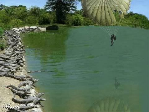 http://i195.photobucket.com/albums/z198/dbax1fan/Alligators.jpg