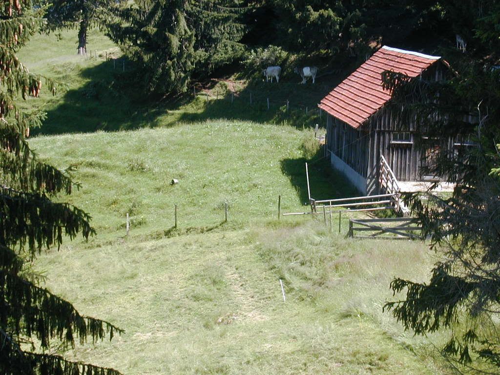 Atzmännig