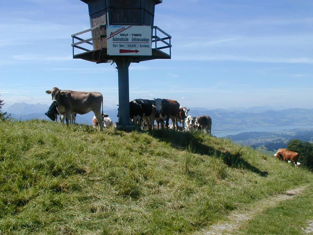 Atzmännig