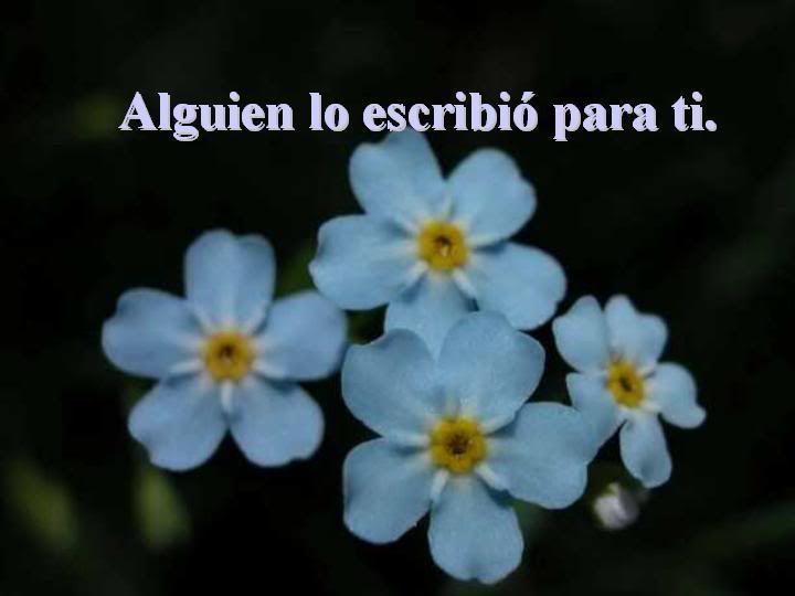 PENSAMIENTOS CON FLORES Pictures, Images and Photos