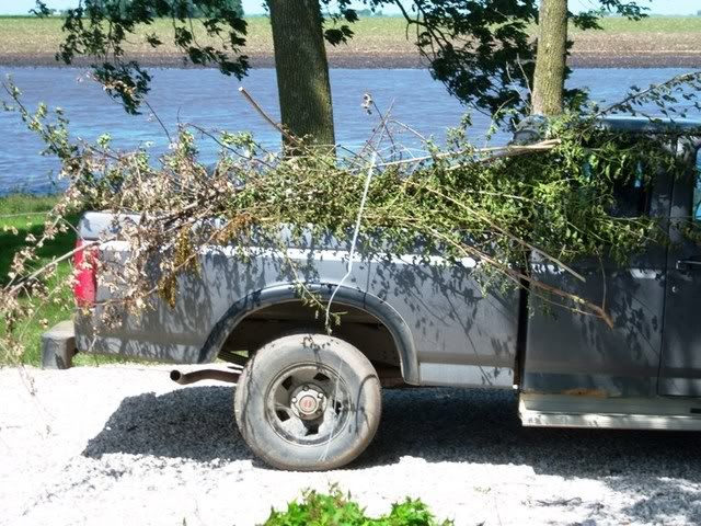 Flooding at farm - Homesteading Questions