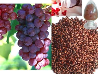 grapeseed Pictures, Images and Photos