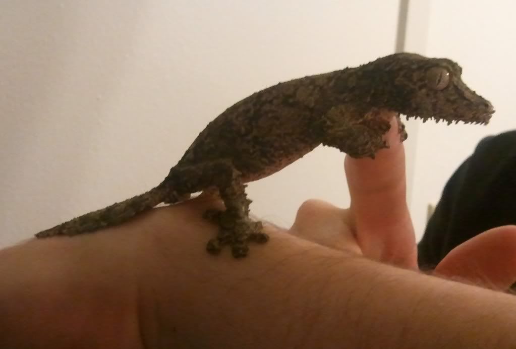 2011-07-03165815.jpg