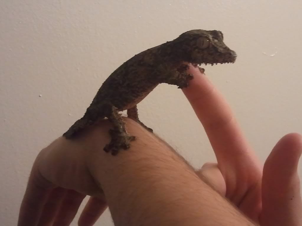 2011-07-03165834.jpg