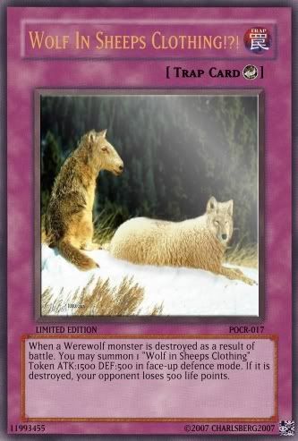 WolfinSheepsClothing.jpg