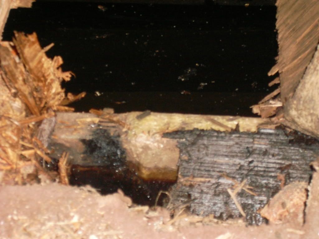 SL370649.jpg