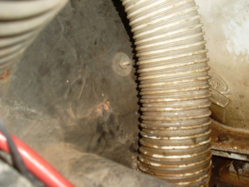 SL370669.jpg