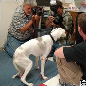 Photo Sharing and Video Hosting at Photobucket