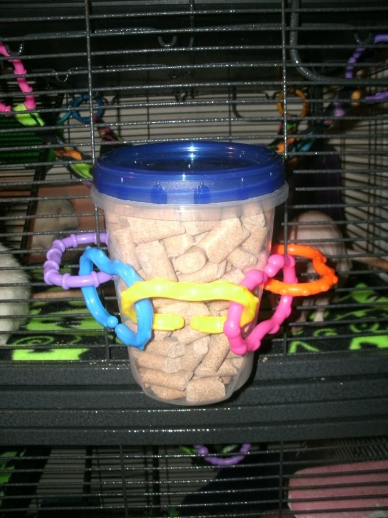 Easy DIY food hopper The Rat Shack Pet Rat Forum