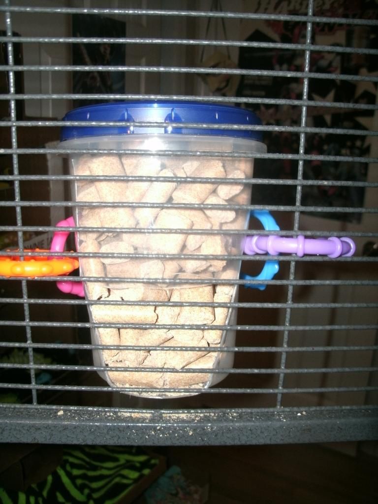 Easy DIY food hopper The Rat Shack Pet Rat Forum